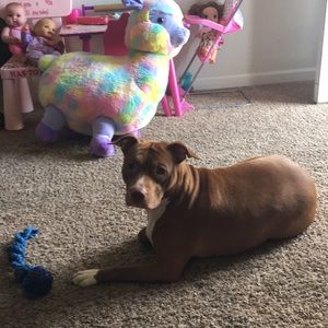 Meet your Posher, Jesse